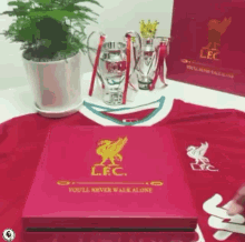 Liverpool Champions GIF - Liverpool Champions Medals GIFs