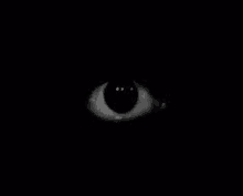 Black Eye GIF - Black Eye GIFs