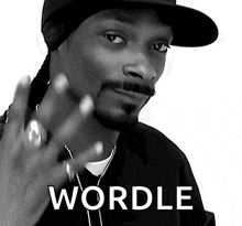 Snoop Dogg Drop It Like Its Hot GIF