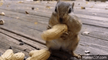GIF