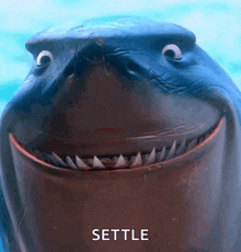 a close up of a shark 's face with the word settle above it