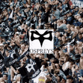 Ospreys Ospreys Rugby GIF - Ospreys Ospreys Rugby Ospreys Flag GIFs