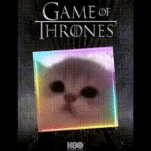 a game of thrones poster with a cat in a square