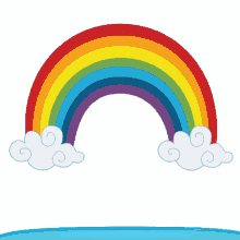 rainbow whale