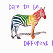 Dare To Be Different Zebra GIF - Dare To Be Different Zebra Rainbow GIFs