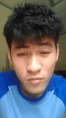a young man wearing a blue shirt looks at the camera