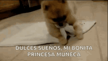 Dogroll Muneca GIF - Dogroll Muneca Sweet Dreams GIFs