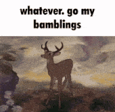 a picture of a deer with the words whatever go my bamblings