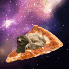 space suit sloth meme