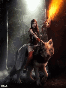 Wolf Warrior GIF