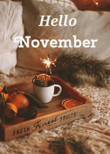 Hello November GIFs | Tenor
