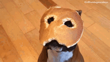 Dog Pancake Mask GIF - Dog Pancake Mask Funny Pet Videos GIFs