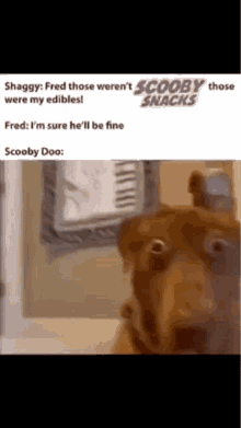 Scooby Doo GIF - Scooby Doo Scoobysnacks GIFs