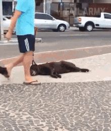 Dog Walking The Dog Out GIF - Dog Walking The Dog Out Tired Dog GIFs