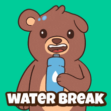 a cartoon of a bear holding a bottle of water and the words water break below it