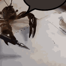 Lobster Writing GIF - Lobster Writing Discord GIFs