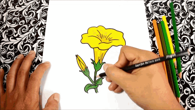 Oleander flower botanical illustration hi-res stock photography and images  - Alamy