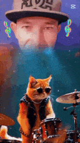 a cat is playing drums in front of a man wearing a hat that says floyd