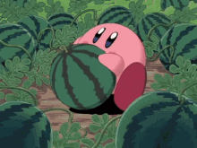 Kirby Eating Watermelon GIF - Kirby Eating Watermelon Watermelon GIFs
