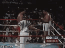 Knockout Ali GIF - Knockout Ali Boxing GIFs