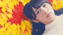 渡辺梨加 わたなべりか Rika Watanabe 欅坂46 美人 GIF - Rika Watanabe Lie Down Autumn GIFs