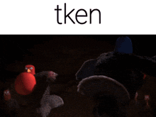 a picture of an angry bird with the words tken below it