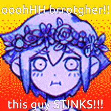 a pixel art drawing of a girl with a flower crown on her head and the words " this guy stinks "