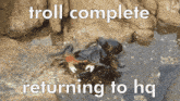 Crab Troll GIF - Crab Troll Troll Complete Returning To Hq GIFs