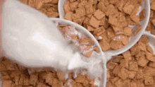 Balanced Breakfast GIF - Cereal Milk Breakfast GIFs