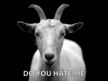 a black and white photo of a goat with the words do you hate me above it