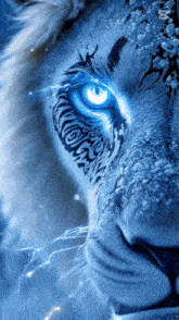 a close up of a blue eyed tiger with a tattoo on its face