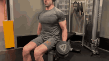 Seated Biceps Curl GIF - Seated Biceps Curl GIFs