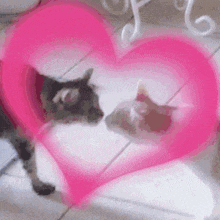 two cats are standing in front of a pink heart shaped object .