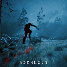 a video game with the word bornless on the bottom right