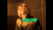 Meow Nirvana GIF - Meow Nirvana Cat GIFs
