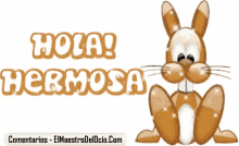 Rabbit Holahermosa GIF - Rabbit Holahermosa GIFs