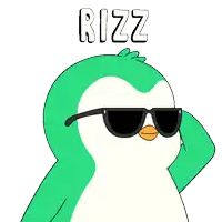 a cartoon penguin wearing sunglasses is holding a bowl and the word rizz is above him