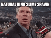 Terraria Meme GIF - Terraria Meme King Slime GIFs