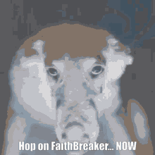 Faithbreaker Hop On Faithbreaker GIF - Faithbreaker Faith Breaker GIFs