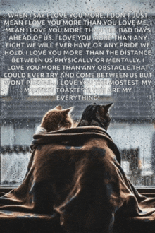 two cats wrapped in a blanket looking out a window with a quote about love
