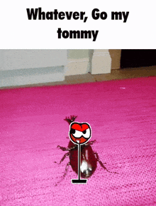 a picture of a bug with the words whatever go my tommy