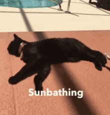 Sunbathing Cat GIF - Sunbathing Cat Black GIFs