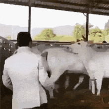 Idiot Funny As Hell GIF - Idiot Funny As Hell Fail GIFs