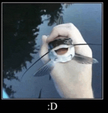 a person is holding a catfish in their hand with the letters d on the bottom