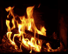 Bonfire Camping GIF - Bonfire Camping Fire GIFs