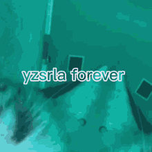 Yzsrla Forever GIF - Yzsrla Forever GIFs