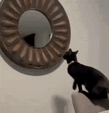 Black Cat Mclaren Cat GIF - Black Cat Mclaren Cat Jumping GIFs