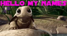 Tinkle Turtle Daddy For Tinkle GIF - Tinkle Turtle Daddy For Tinkle Tinkle GIFs