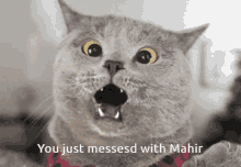 Mahir I Am Mahir GIF - Mahir I Am Mahir Shock GIFs