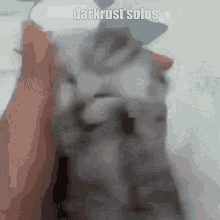 Darkrust Solos Saviors GIF - Darkrust Solos Saviors Darkrust GIFs